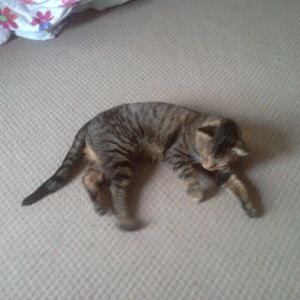 Meet your Posher, Dylan